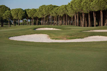 Similar image 13220635