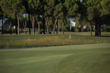 Similar image 13220872