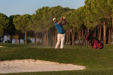 Similar image 13229791