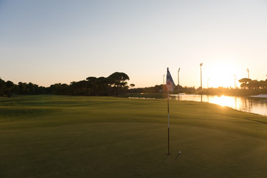 Similar image 13221034