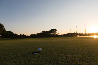 Similar image 13221295