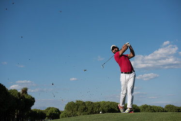 Similar image 13219625