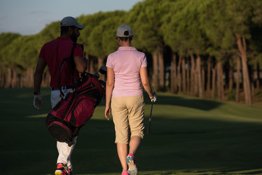 Similar image 13232243