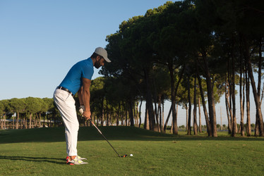 Similar image 13221006