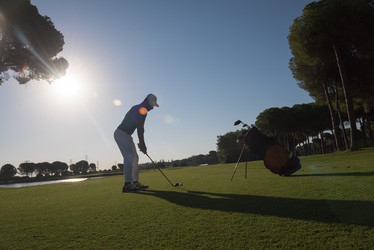 Similar image 13221385