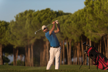 Similar image 13229492