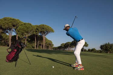 Similar image 13230070