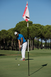 Similar image 13220877