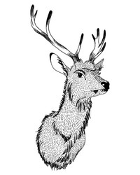 Similar image 13206977