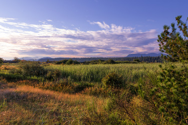 Similar image 13207321