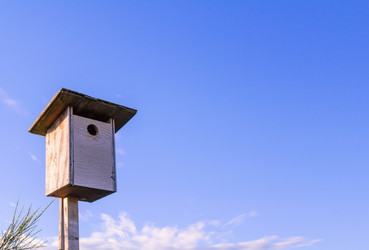 Similar image 13207282