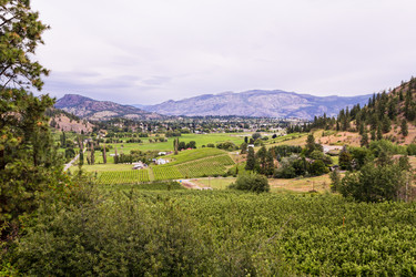 Similar image 13207303