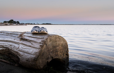 Similar image 13207439