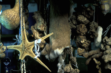 Similar image 13232015