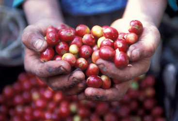 Similar image 13201513