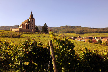 Similar image 13201515