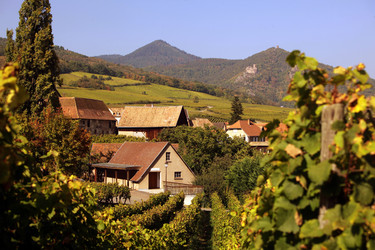 Similar image 13201516