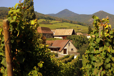 Similar image 13201548