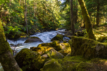 Similar image 13207305