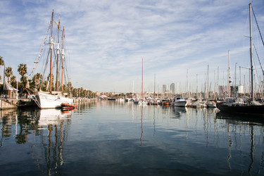 Similar image 13219237