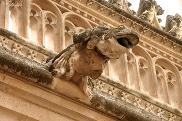 Similar image 13219256