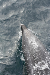 Similar image 13201468