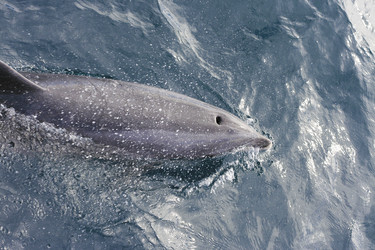 Similar image 13201489