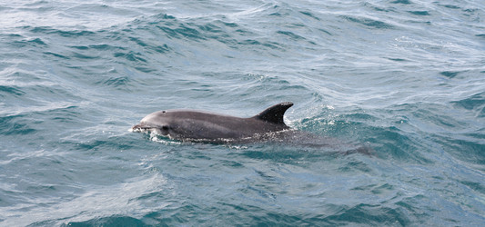 Similar image 13201491