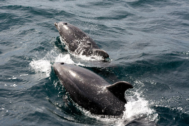 Similar image 13201521