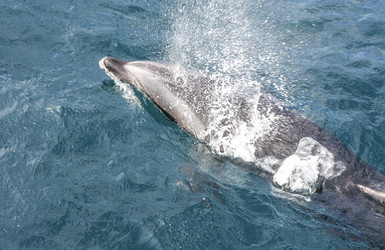 Similar image 13219239