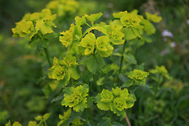 Similar image 13201494