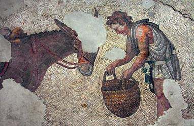 Similar image 13228215