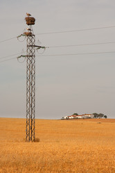 Similar image 13228227