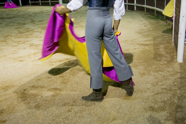 Similar image 13231906