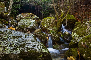 Similar image 13201478