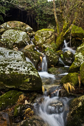 Similar image 13201479