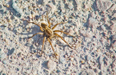 Similar image 13231917