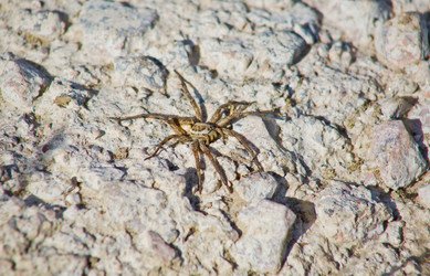 Similar image 13231918