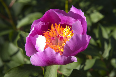 Similar image 13231923