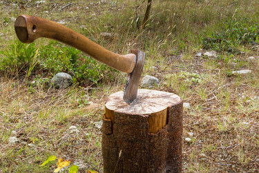 Similar image 13207325