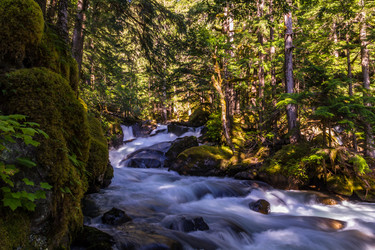 Similar image 13207364