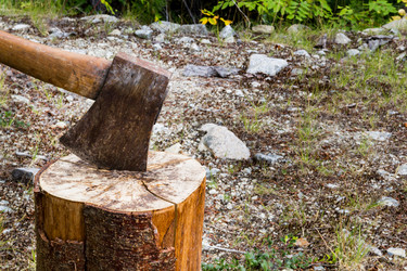 Similar image 13207440