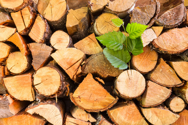 Similar image 13207441