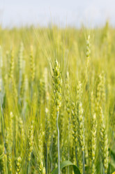 Similar image 13241318