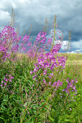 Similar image 13241319