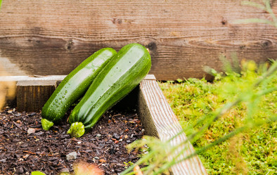 Similar image 13207404