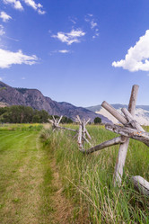 Similar image 13207446