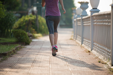 Similar image 13220453