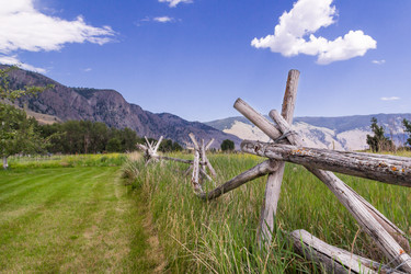 Similar image 13207333