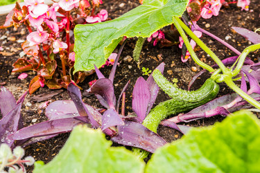 Similar image 13207448